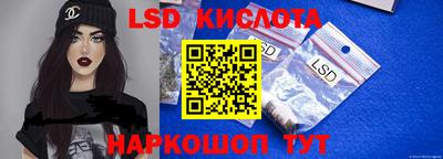 прущие грибы Донской